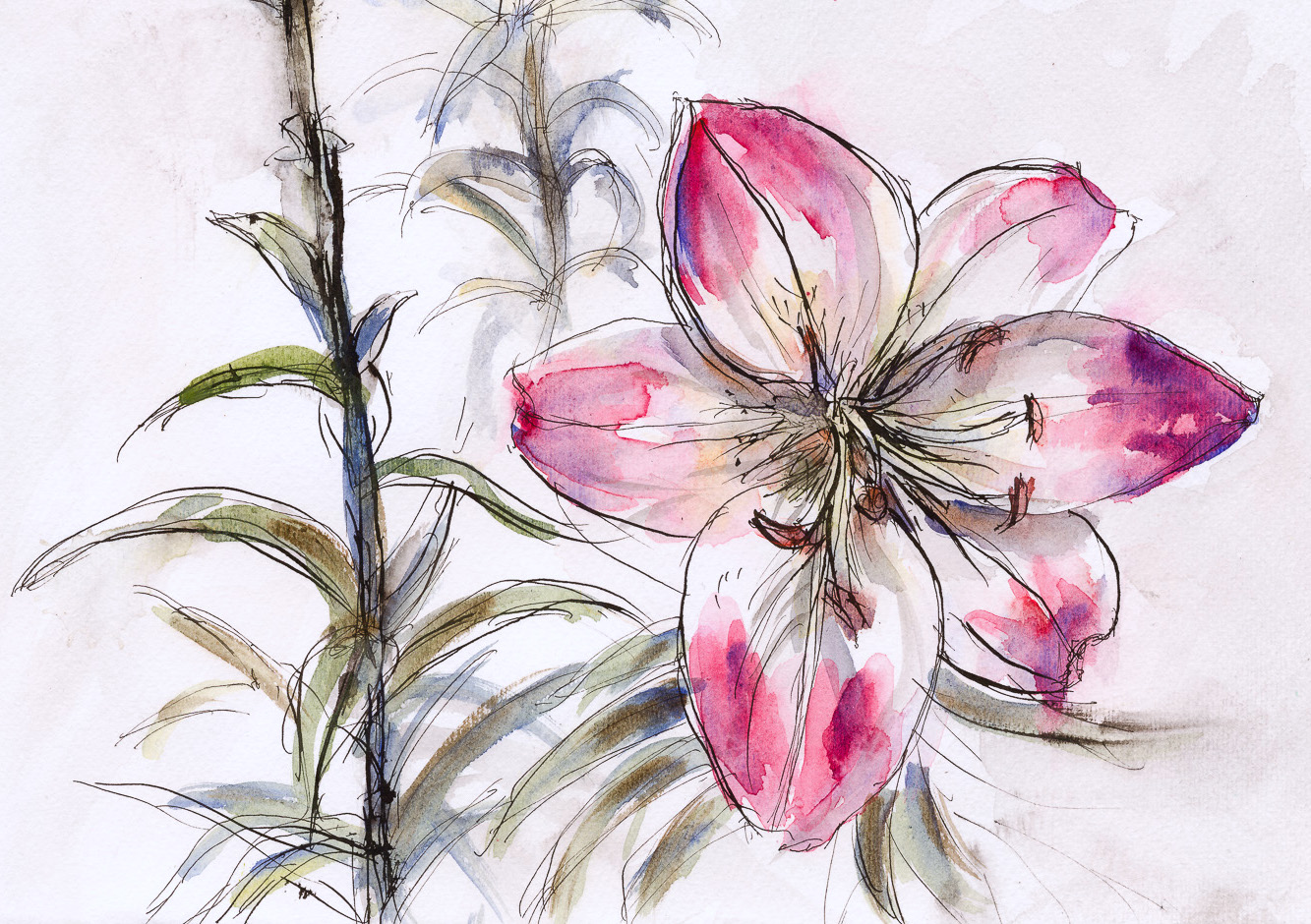 Simple watercolor flower drawing on Craiyon